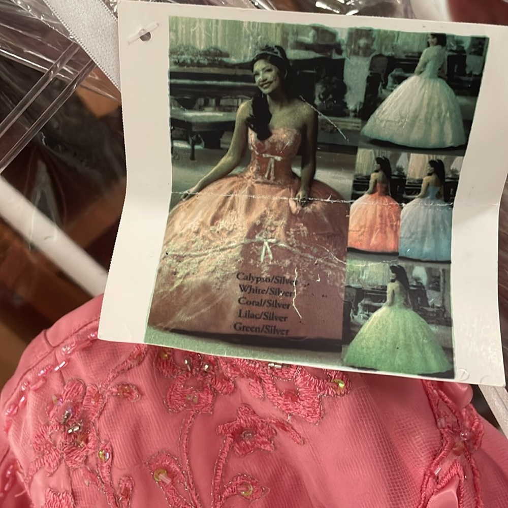 Mary’s Quinceañera Dress - Picture 8 of 10